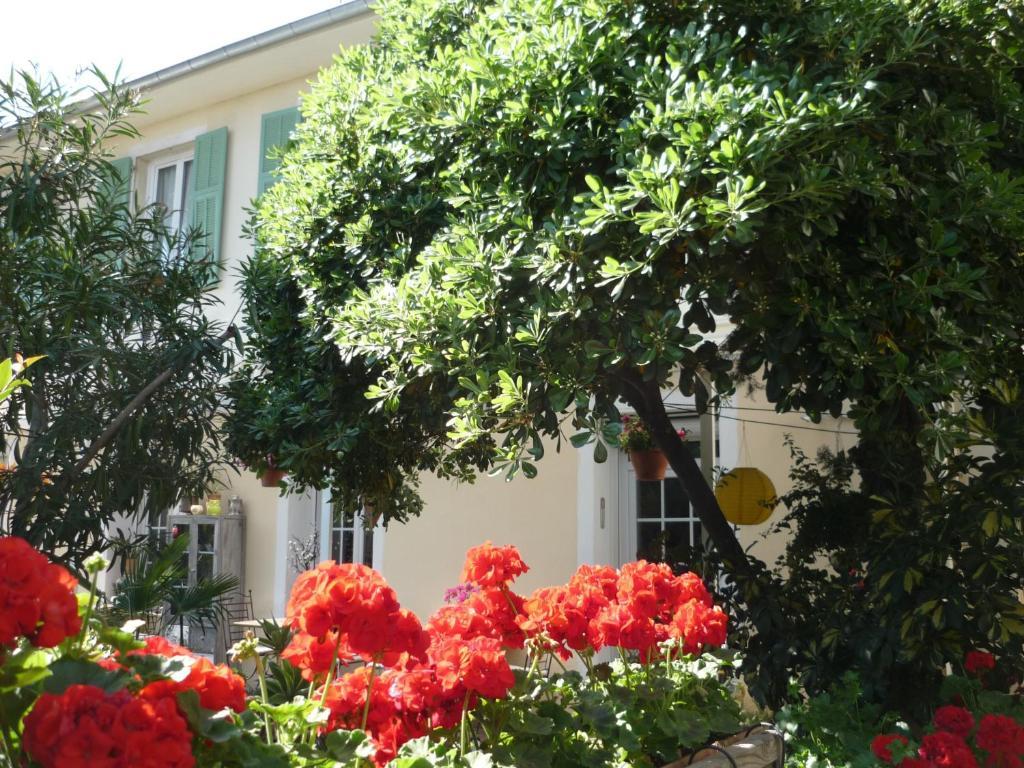 Logis Hotel Villa Victorine Ніцца Екстер'єр фото